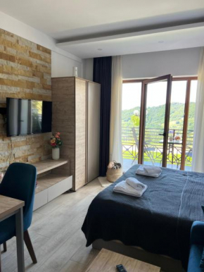 Hotels in Kopaonik
